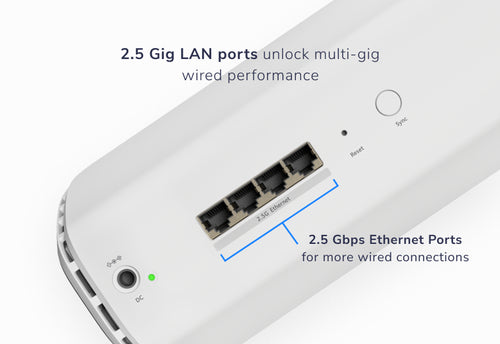 NETGEAR Orbi 870 Series RBE870 - Wi-Fi 7 - desktop - DRWORKS