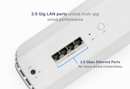 NETGEAR Orbi 870 Series RBE870 - Wi-Fi 7 - desktop - DRWORKS