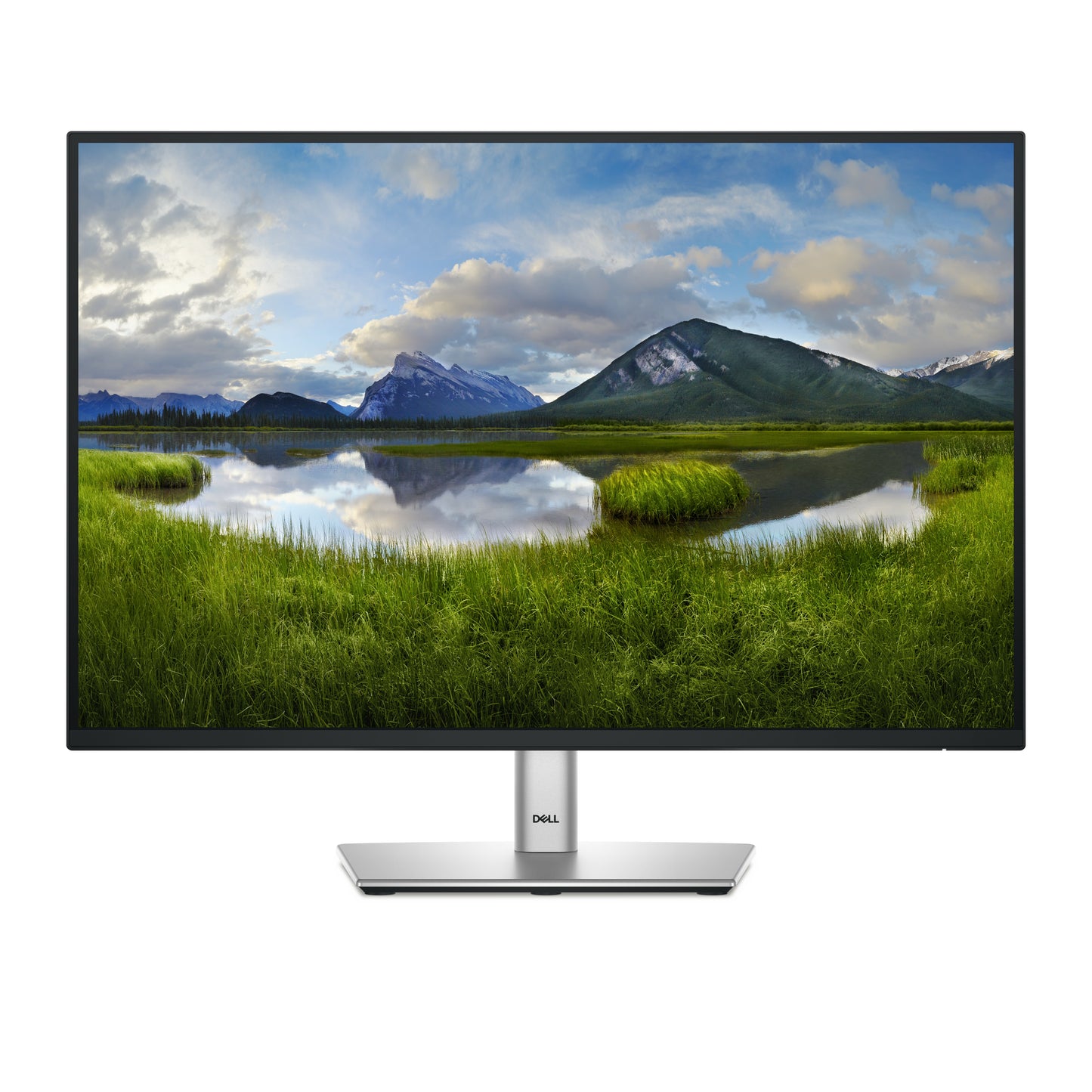 Dell P2425 - 24" LED monitor - (24.07" viewable) - 1920 x 1200 WUXGA @ 100 Hz - HDMI, VGA, DisplayPort - DRWORKS